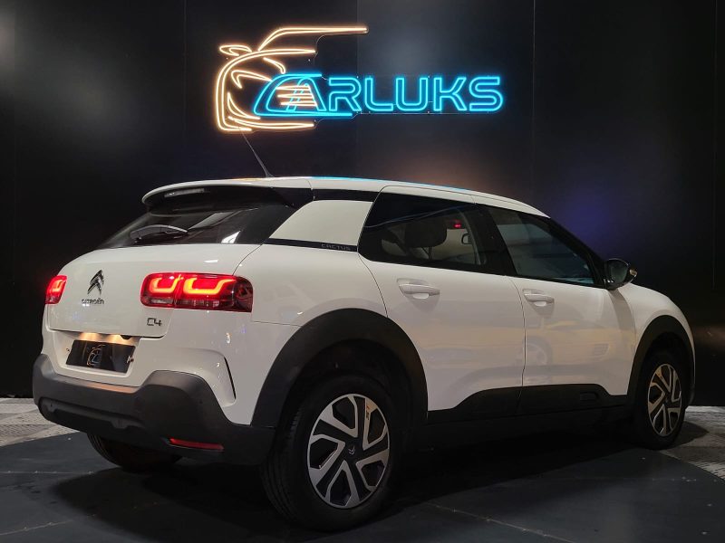 CITROEN C4 CACTUS 1.5 BlueHDi 100cv Shine Business BVM6