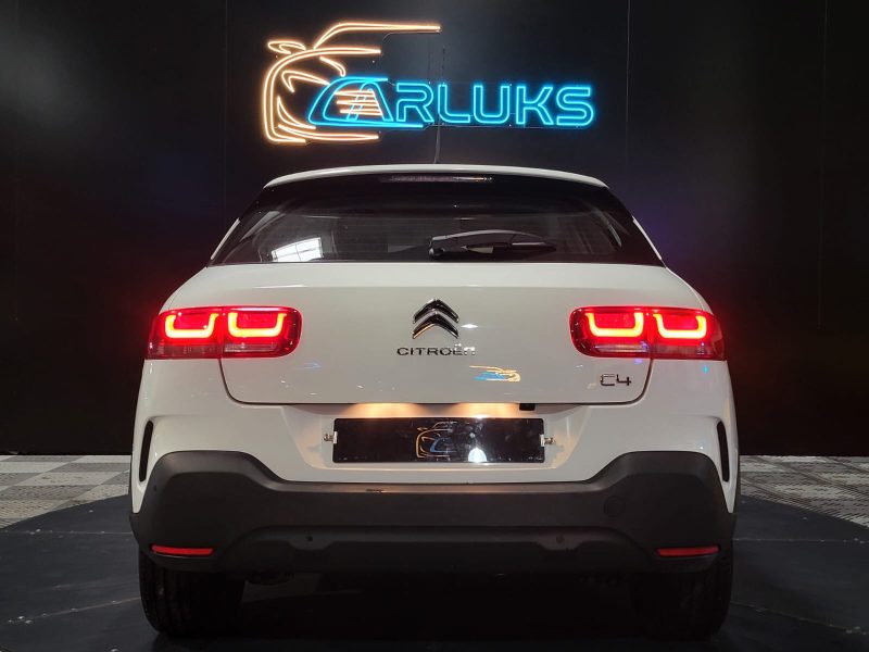 CITROEN C4 CACTUS 1.5 BlueHDi 100cv Shine Business BVM6