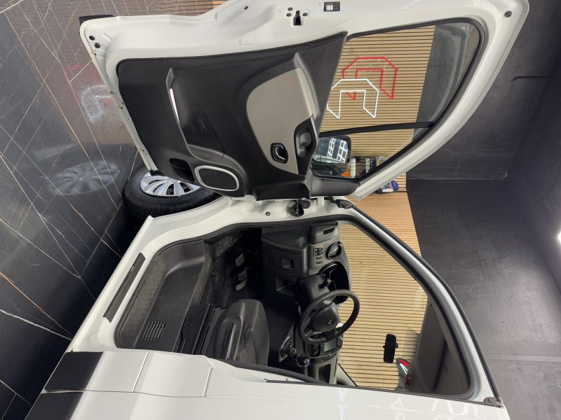 RENAULT TRAFIC III Camionnette 2019