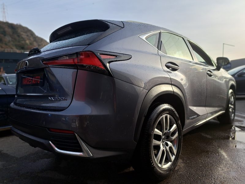 LEXUS NX300H 2019