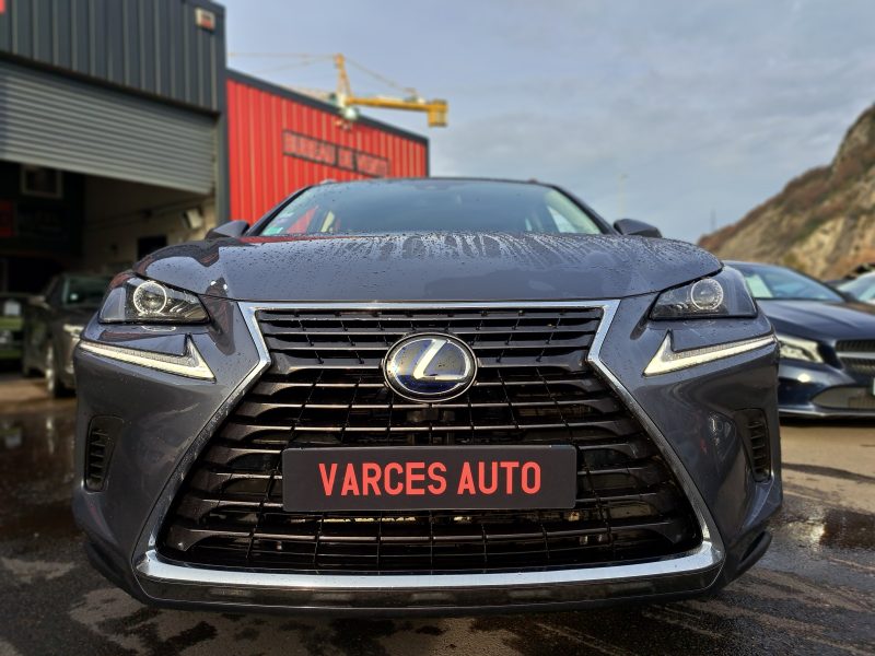 LEXUS NX300H 2019