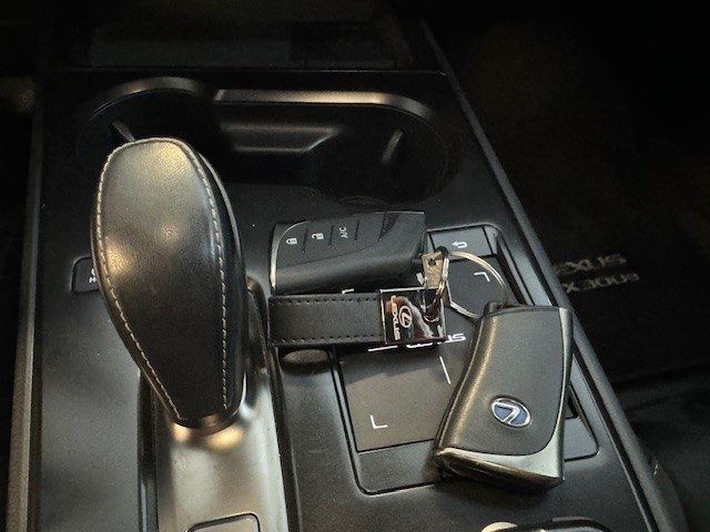 LEXUS UX300E 2021