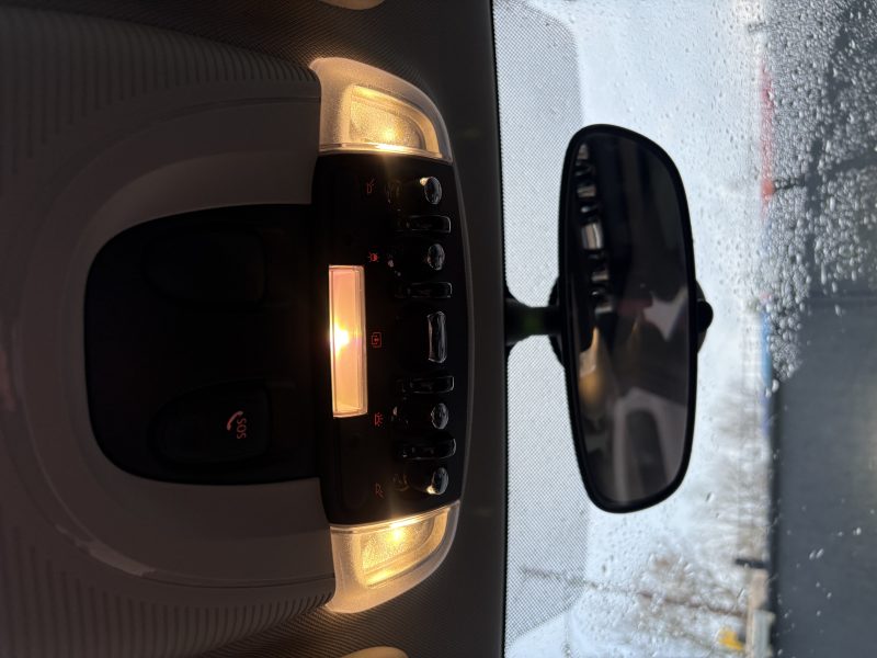 MINI MINI 2019