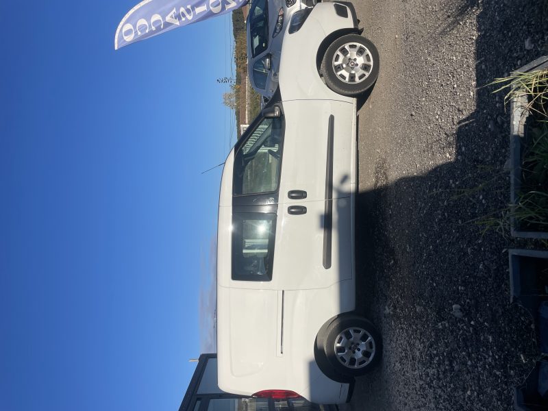 FIAT DOBLO 2020 Cargo 1.3 D Multijet (95Cv)