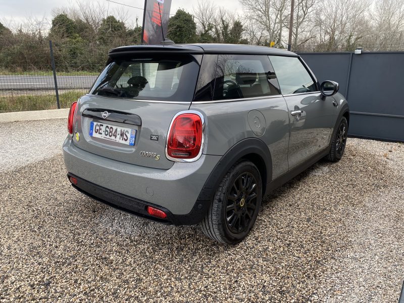 MINI MINI 2022