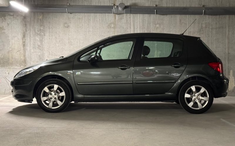 PEUGEOT 307 2007