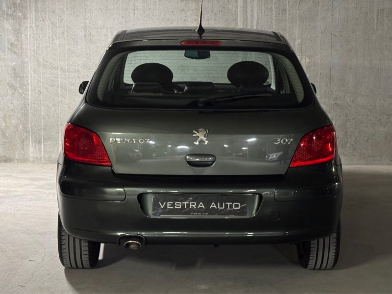 PEUGEOT 307 2007