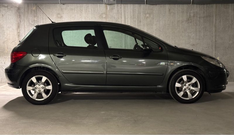 PEUGEOT 307 2007