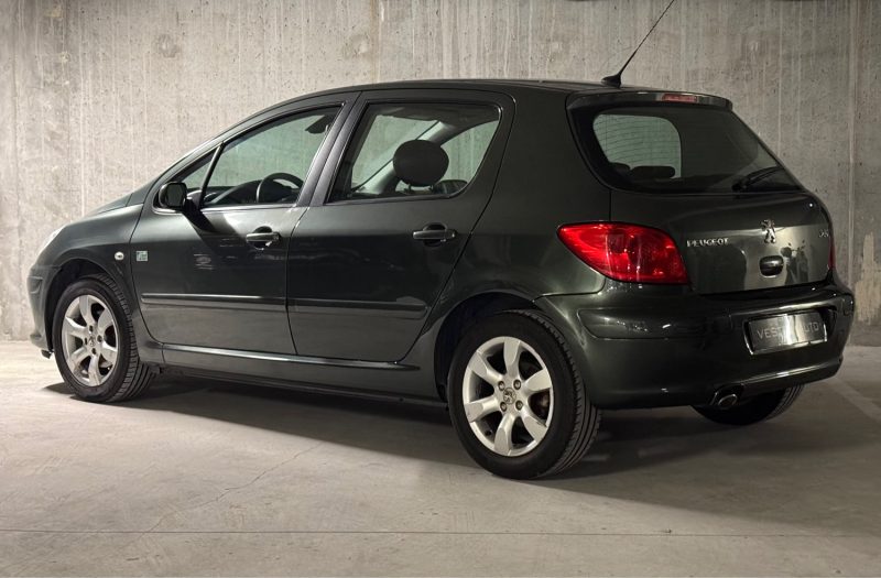 PEUGEOT 307 2007
