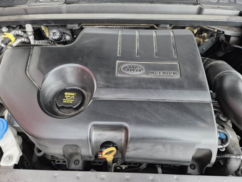 LAND ROVER RANGE ROVER EVOQUE 2019