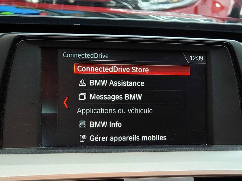 BMW SERIE 3 316d 116cv Lounge BVM6