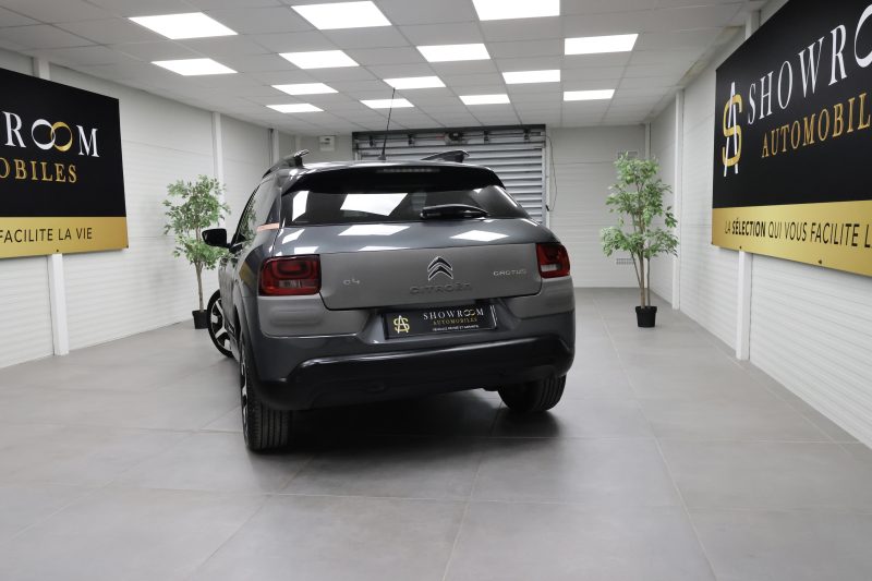 CITROËN C4 Cactus 2014