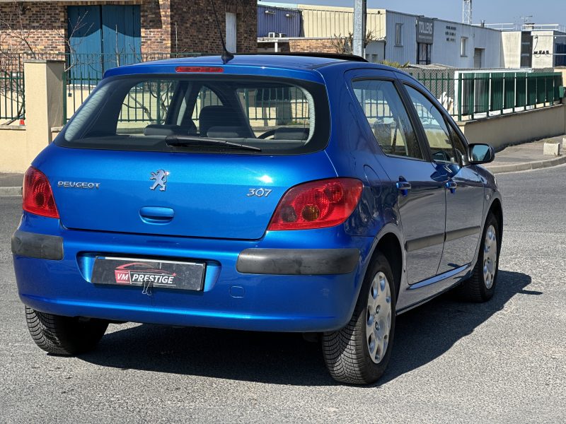Peugeot 307 2002