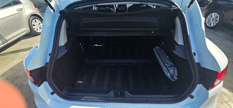 RENAULT CLIO 2018 société 