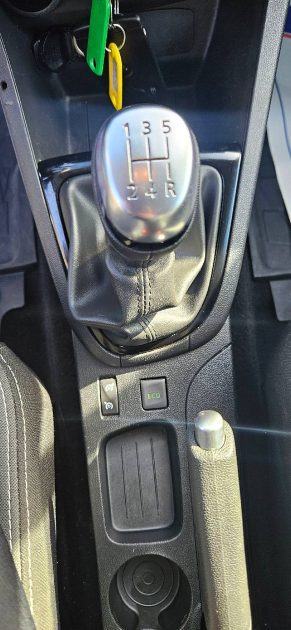 RENAULT CLIO 2018 société 