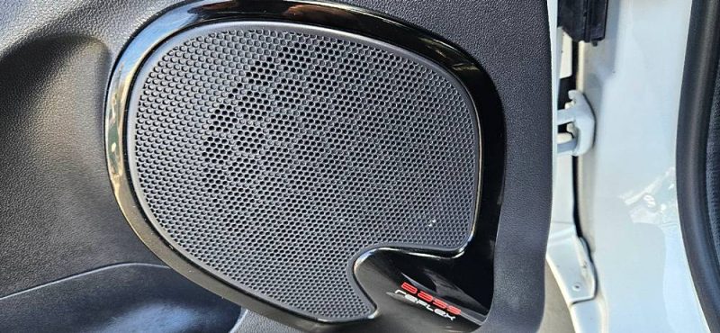 RENAULT CLIO 2018 société 