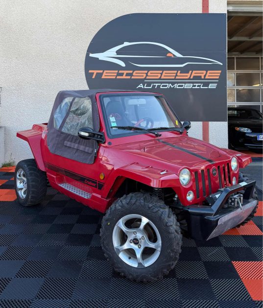 BUGGY GSMOON XYJK800 2010