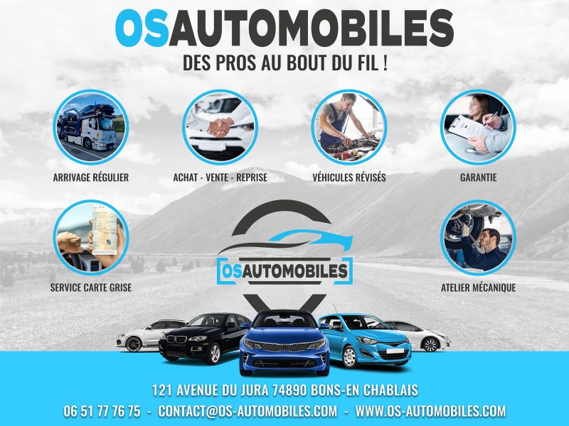 RENAULT  CLIO III 2011