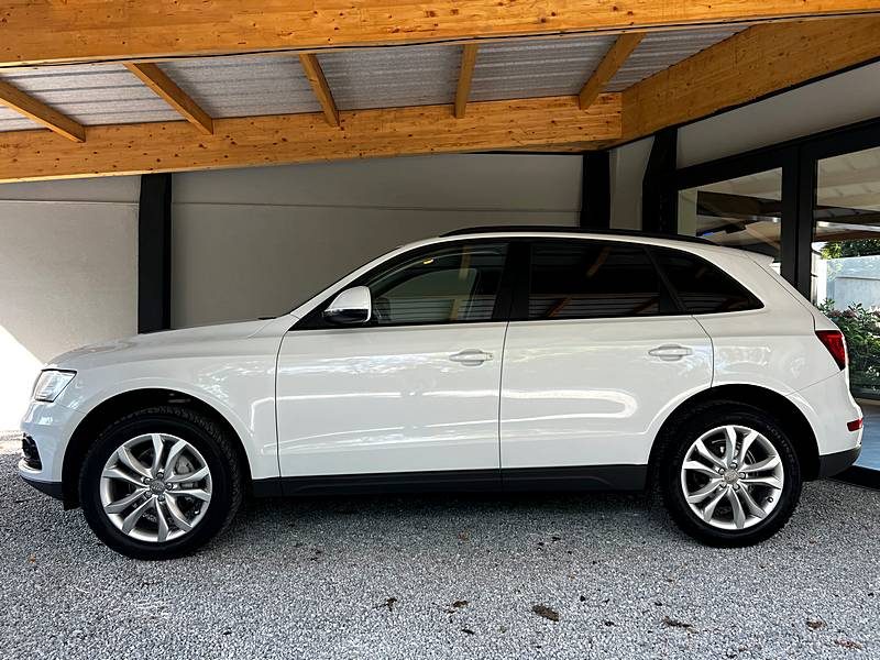 AUDI Q5 2.0 TDI 177 CV QUATTRO BV6