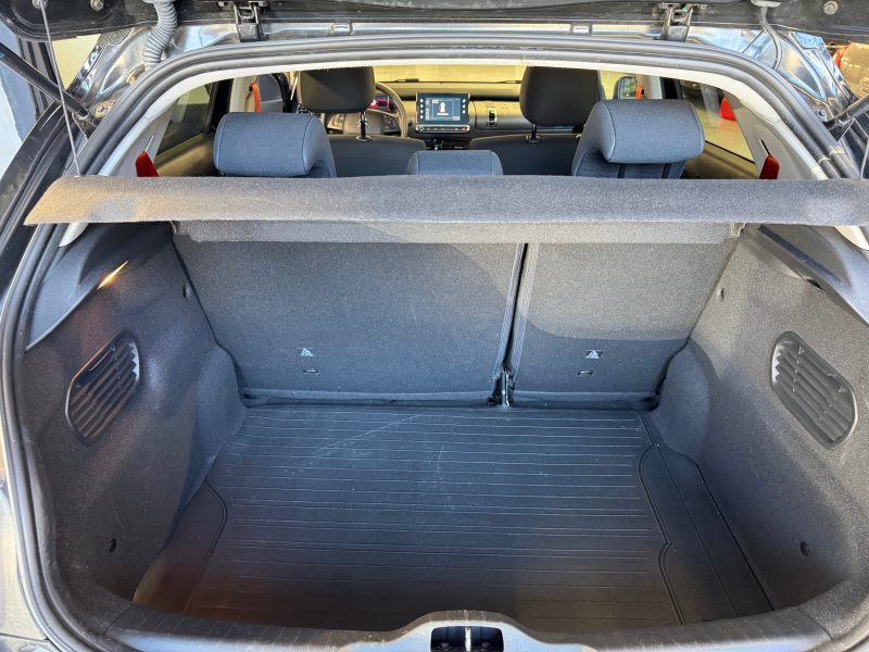 CITROEN  C4 CACTUS 1.6 Hdi 100 Rip Curl toutes options All Grip