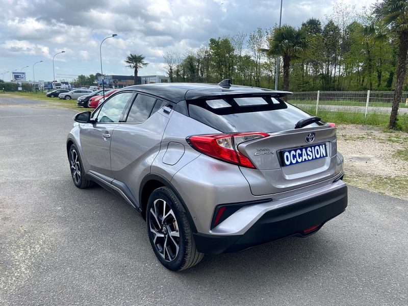 TOYOTA C-HR HYBRID 122 GRAPHIC