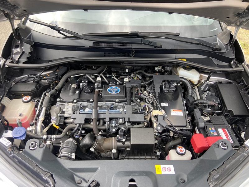 TOYOTA C-HR HYBRID 122 GRAPHIC