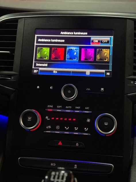 RENAULT TALISMAN 2017