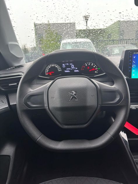 PEUGEOT 208 1.5 Blue HDI 100 cv 
