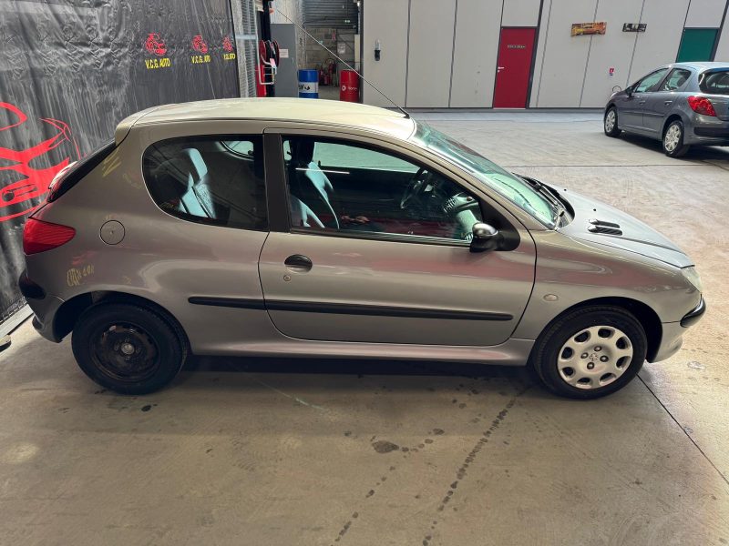 PEUGEOT 206 1.1i 60 Confort 