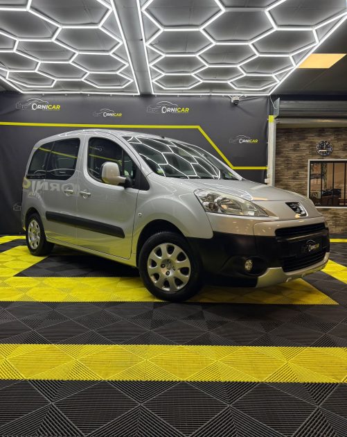 PEUGEOT PARTNER 2010
