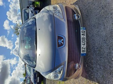 PEUGEOT 307 SW  2.0 ESS 2007