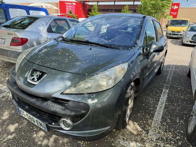 LOT MARCHAND  207 / TWINGO  2001