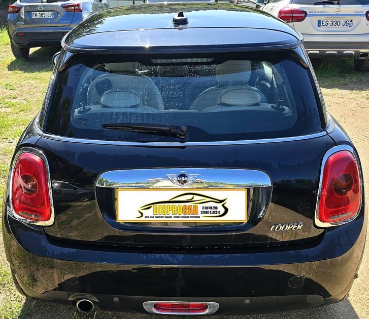 MINI MINI 2014