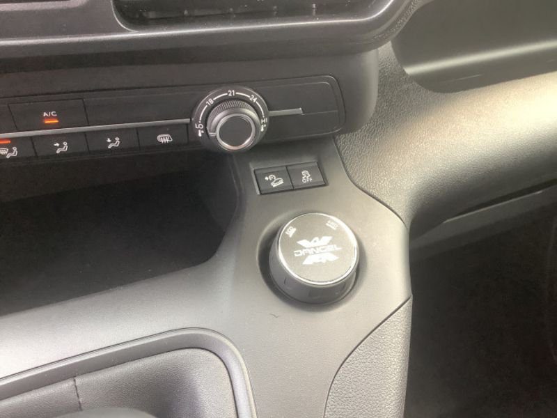 Dangel Partner FOURGON 4x4 M 650 KG BLUEHDI 130 S&S BVM6