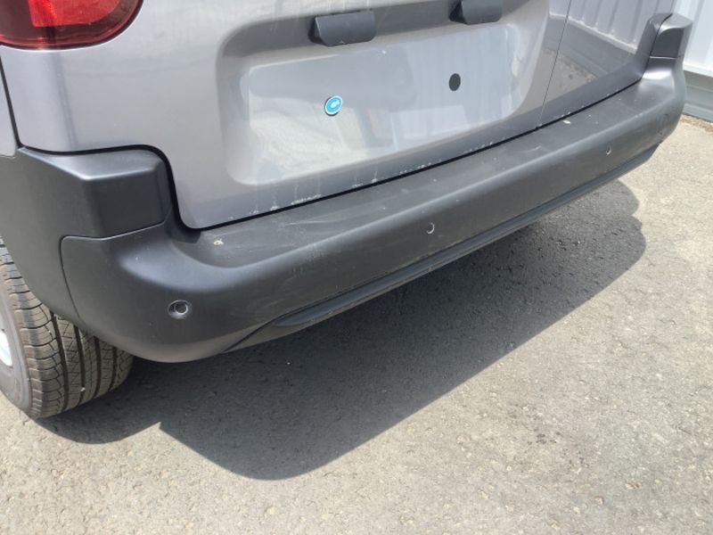 Dangel Partner FOURGON 4x4 M 650 KG BLUEHDI 130 S&S BVM6