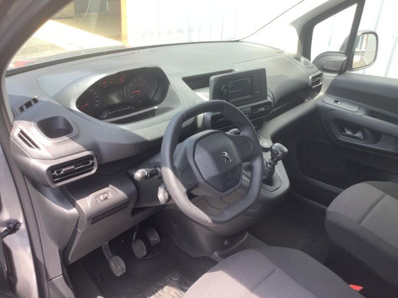 Dangel Partner FOURGON 4x4 M 650 KG BLUEHDI 130 S&S BVM6