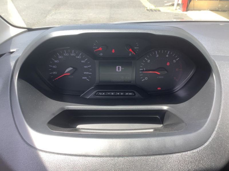 Dangel Partner FOURGON 4x4 M 650 KG BLUEHDI 130 S&S BVM6