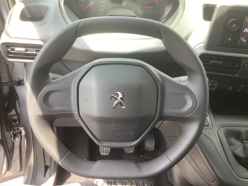 Dangel Partner FOURGON 4x4 M 650 KG BLUEHDI 130 S&S BVM6