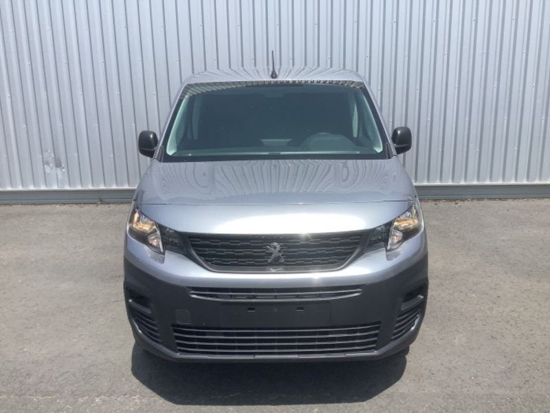 Dangel Partner FOURGON 4x4 M 650 KG BLUEHDI 130 S&S BVM6