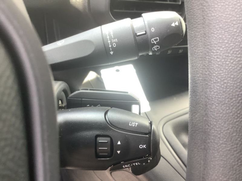 Dangel Partner FOURGON 4x4 M 650 KG BLUEHDI 130 S&S BVM6