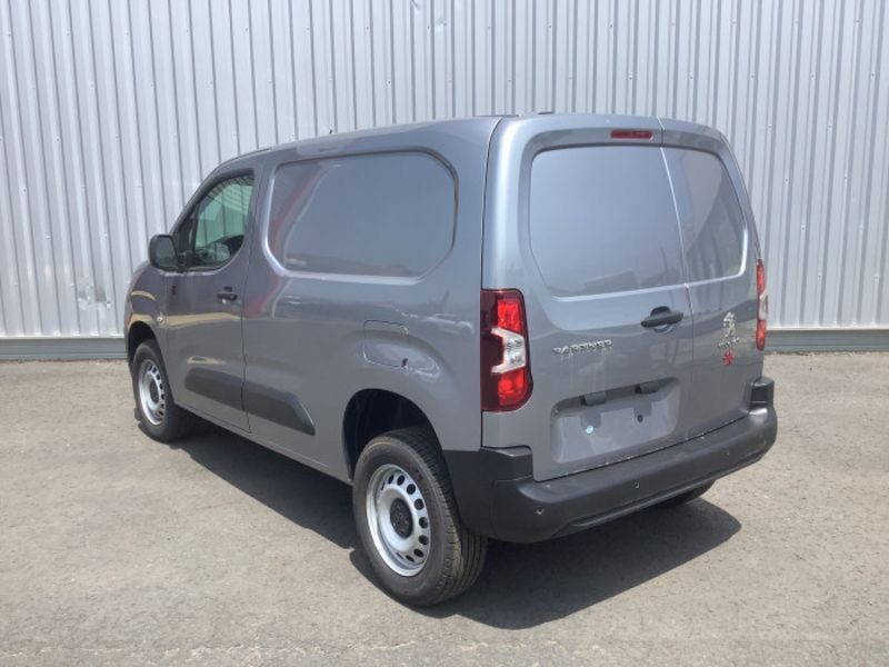 Dangel Partner FOURGON 4x4 M 650 KG BLUEHDI 130 S&S BVM6