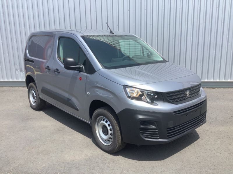 Dangel Partner FOURGON 4x4 M 650 KG BLUEHDI 130 S&S BVM6