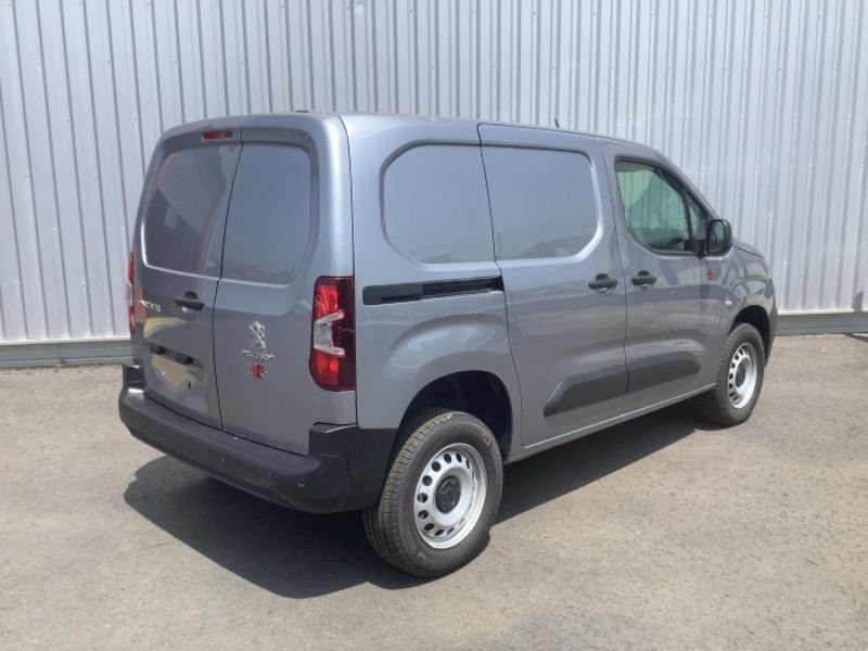 Dangel Partner FOURGON 4x4 M 650 KG BLUEHDI 130 S&S BVM6