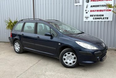 PEUGEOT 307 2008