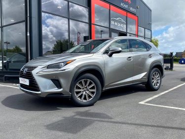 LEXUS NX300H 2019