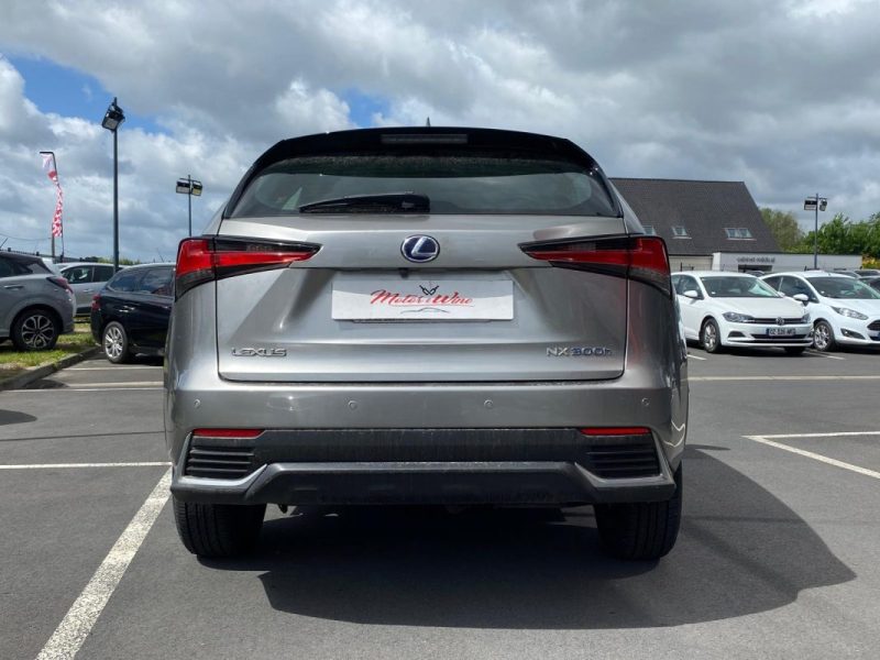 LEXUS NX300H 2019