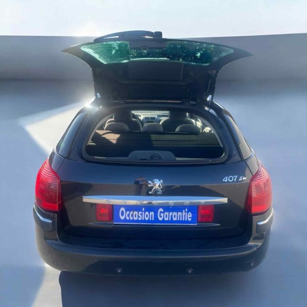 PEUGEOT 407 2007