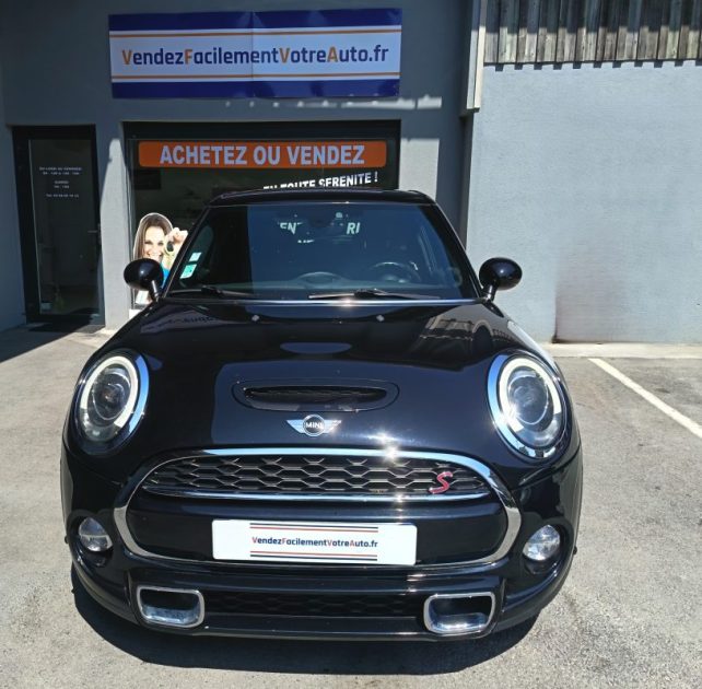 MINI MINI 2017