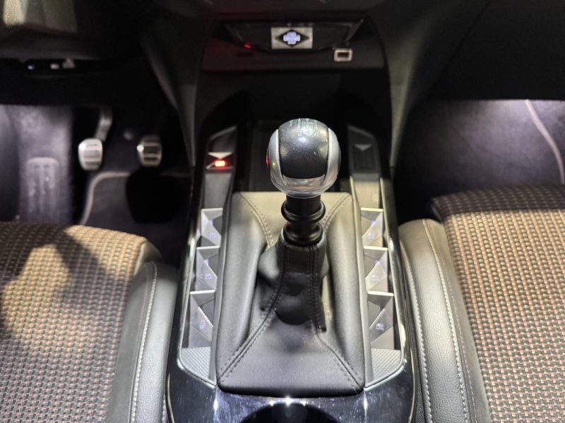 DS DS 3 CROSSBACK 2020