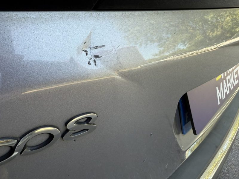 PEUGEOT 3008 120cv ACTIVE BUSINESS